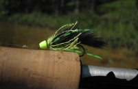 Green in the green Green in the green