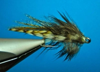 Le Petite Decapod Le Petite Decapod