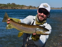 Brown taken in the riffles Brown taken in the riffles