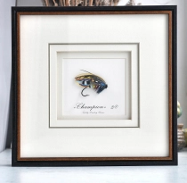 Champion framed Champion framed