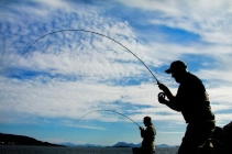 Double fight Double fight