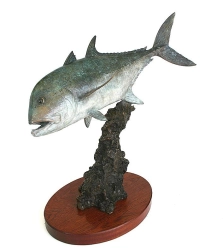 Giant kingfish Giant kingfish