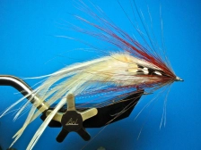 Das Brown/White Cephalopod Das Brown/White Cephalopod