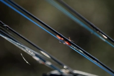 Diagonal lines Diagonal lines