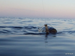 Another one... Another one...