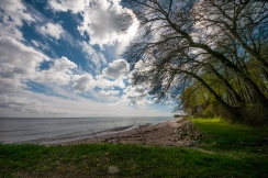 A springtime coast A springtime coast