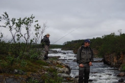 By the stream By the stream