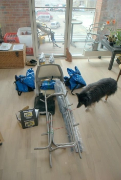 Divus sniffing Divus sniffing