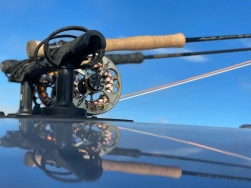 Weapons of choice Weapons of choice