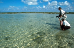 Looking into the picture Looking into the picture