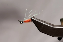 Step 25 - done Step 25 - done