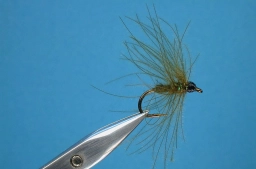 CDC No Elk CDC No Elk