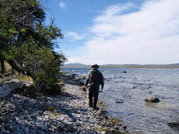 On the way home On the way home