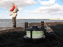 On the coast On the coast