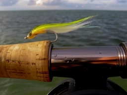 In the zone In the zone