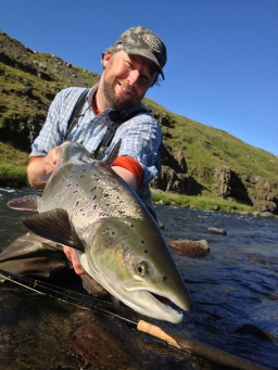 The author The author