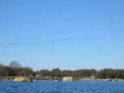 The Baltic The Baltic