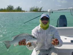 Cubara Snapper Cubara Snapper