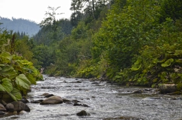 Another valley this time even narrower Another valley this time even narrower