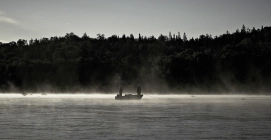 In the mist In the mist