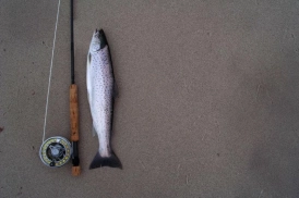 Open space Open space