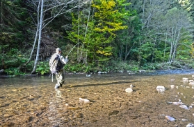 Feeding activity Feeding activity