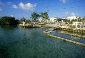 Canal fishing Canal fishing