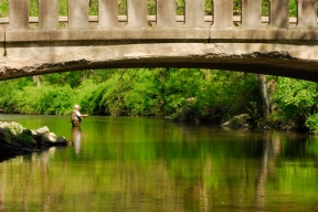 The Bridge Pool. Ridley Creek, PA The Bridge Pool. Ridley Creek, PA