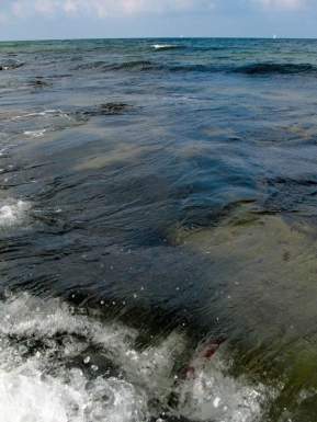 Perfect conditions Perfect conditions