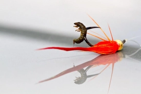 Big fly, small catch Big fly, small catch