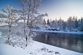 Winter study Winter study