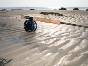 Not only water Not only water