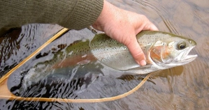 Fishing in New York Gallery Fishing in New York Gallery