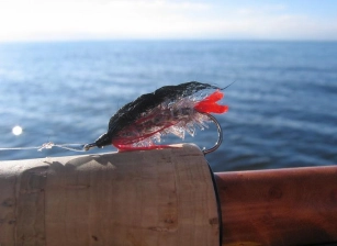 Bloody Butcher with flash chenille Bloody Butcher with flash chenille