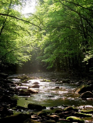Fishing in New York Gallery Fishing in New York Gallery