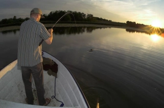 Pike fight Pike fight