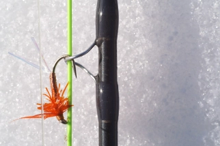 A soft shadow... A soft shadow...