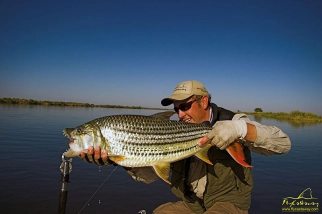 Impressing fish Impressing fish