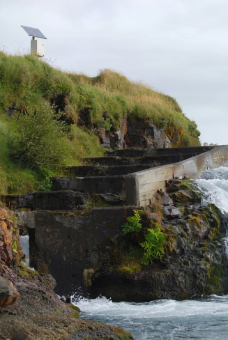 A busy fish ladder A busy fish ladder