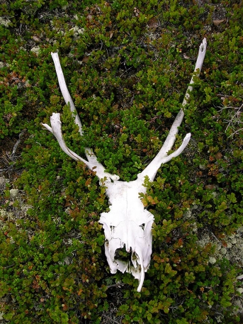 Everything comes in useful Everything comes in useful