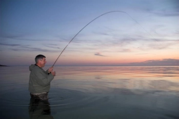 The golden section The golden section