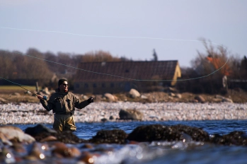 Ready for the third haul Ready for the third haul