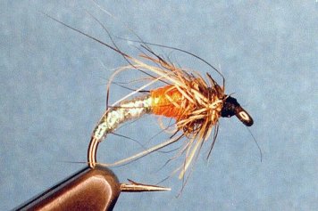 The full size Shuck Raider The full size Shuck Raider