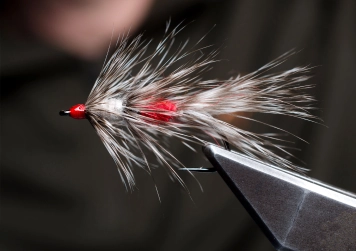 The finished Racoon The finished Racoon