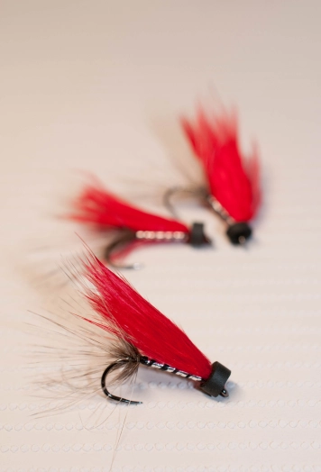 Martin's Silver Desire Martin's Silver Desire