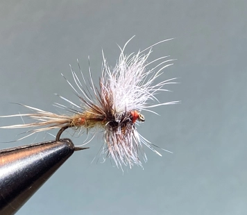 Ausable Wulff Ausable Wulff