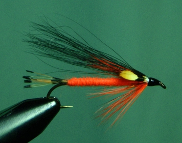 Black Demon Black Demon