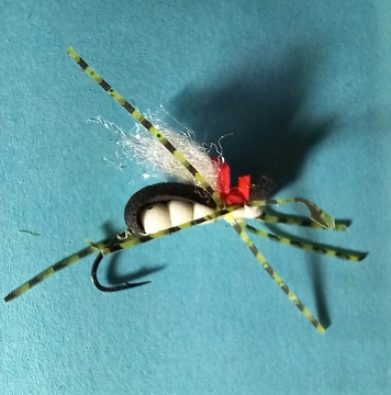 Foam fly I used Foam fly I used