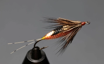 Finished Grant Nymph Finished Grant Nymph