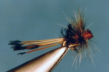 Jack Mickievicz Jack Mickievicz